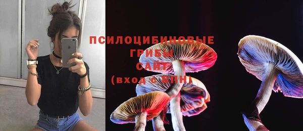 кристаллы Абаза
