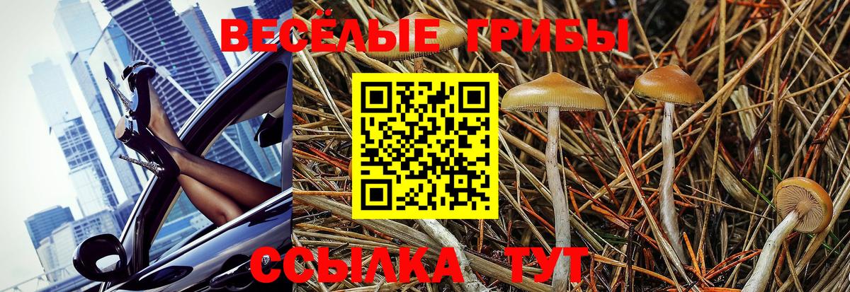 Псилоцибиновые грибы ЛСД Азнакаево