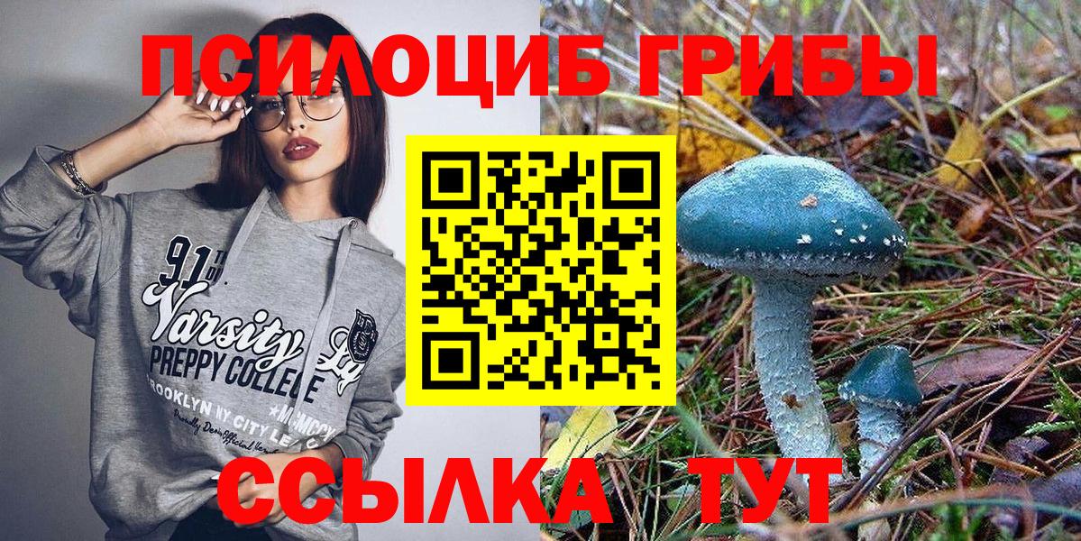 Галлюциногенные грибы мицелий  Галлюциногенные грибы ЛСД  Азнакаево  как найти закладки  Вход с VPN 